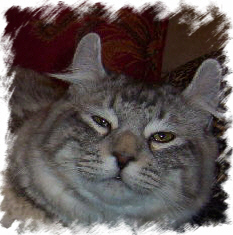 bub11mo.jpg